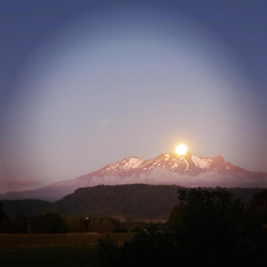 Beech Tree Lodge Ohakune Bagian luar foto